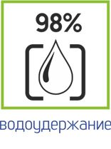 98.jpg
