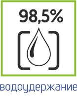 98,5.jpg
