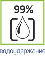 99.jpg